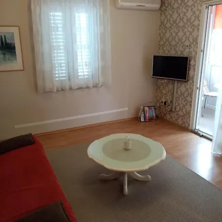 Apartment Viki